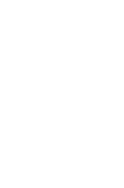STEP 02