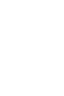 STEP 03